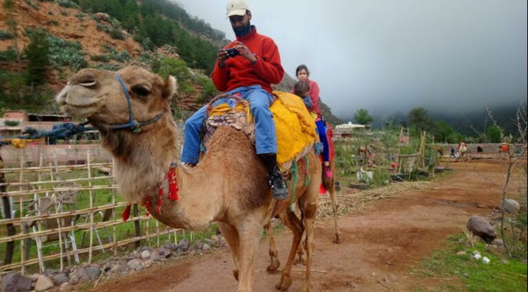 Luxury Camel riding in Morocco