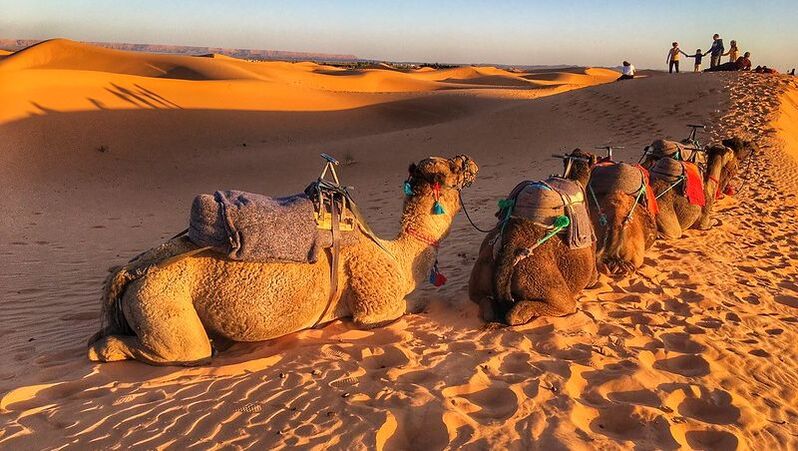 Camel ride from Marrakech